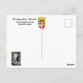 Vögel Floridas Postkarte (Rückseite)