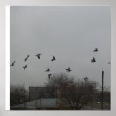 Vogel Flying Poster (Vorne)