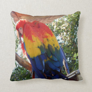 Vogel-Foto#16-Scarlet Macaw Kissen