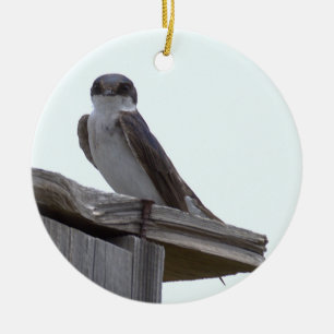 Vogel-Foto-Ornament Keramik Ornament
