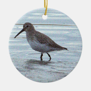 Vogel-Foto-Ornament Keramik Ornament