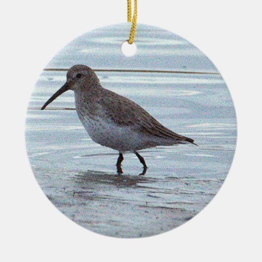 Vogel-Foto-Ornament Keramik Ornament (Vorne)