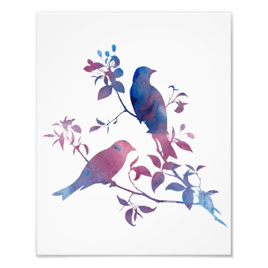 Vögel Fotodruck (Vorne)