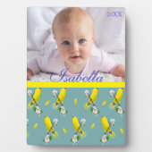 Vögel Fotoplatte (Vorderseite)