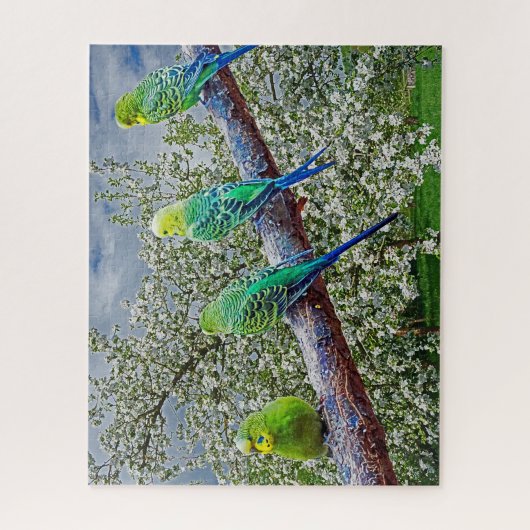 Vögel - Geflügel Puzzle (Vertikal)