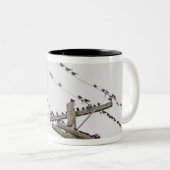 Vögel gehockt auf Drähten Zweifarbige Tasse (VorderseiteRechts)