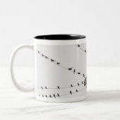 Vögel gehockt auf Drähten Zweifarbige Tasse (Links)