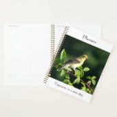 Vogel-gelegter Planer (Anzeige)