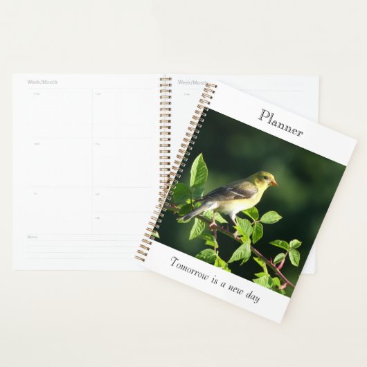 Vogel-gelegter Planer (Anzeige)