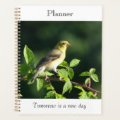 Vogel-gelegter Planer (Vorderseite)