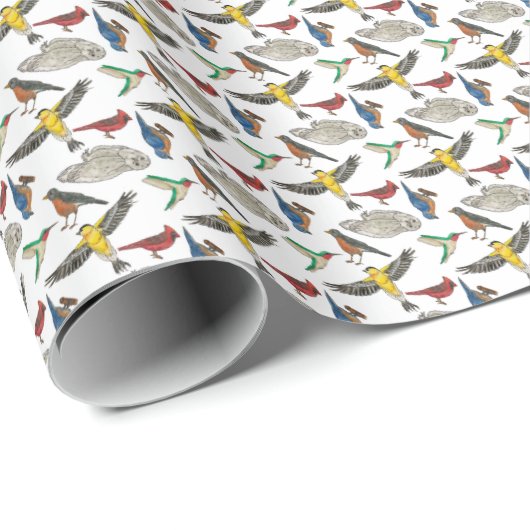 Vögel! Geschenkpapier (Rolleneckpunkt)