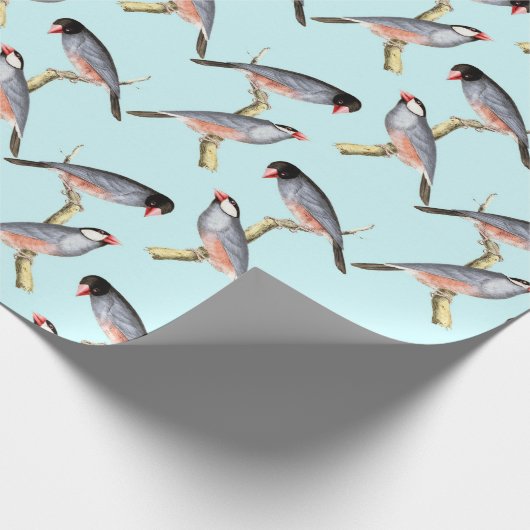 Vögel Geschenkpapier (Ecke)