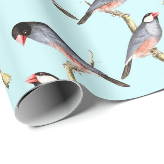 Vögel Geschenkpapier (Rolleneckpunkt)