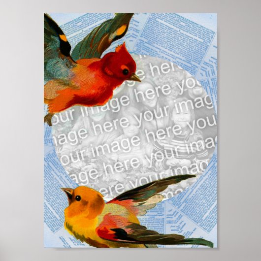 Vögel gestalten Ihr eigenes Foto Poster (Vorne)