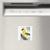 Vogel: Goldfinch Magnet (In Situ (Geschirrspüler))
