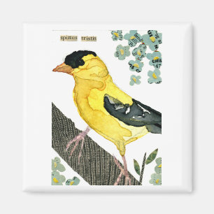 Vogel: Goldfinch Magnet
