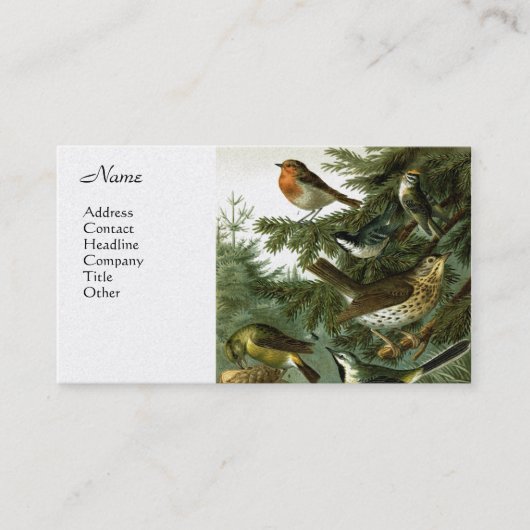 Vogel-Gruppe 3 Visitenkarte (Vorderseite)