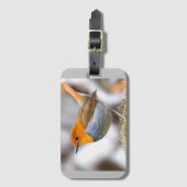 Vogel-heraus Gepäckanhänger (Vorderseite Vertikal)