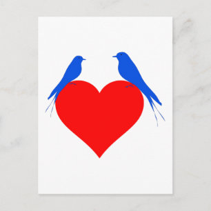 Vögel Herz Postkarte
