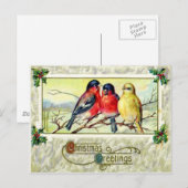 Vögel & Holly Postkarte (Vorne/Hinten)