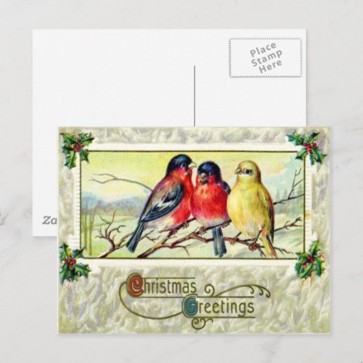 Vögel & Holly Postkarte (Vorne/Hinten)