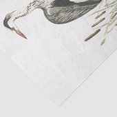 Vogel-Illustrations-Common-Reiher Seidenpapier (Ausschnitt)