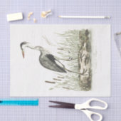 Vogel-Illustrations-Common-Reiher Seidenpapier (Handwerk)