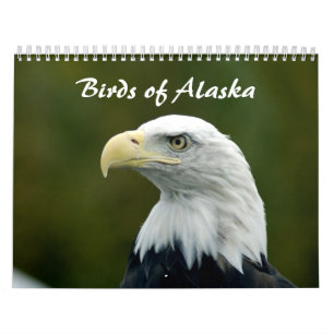 Vögel im Alaska-Kalender Kalender