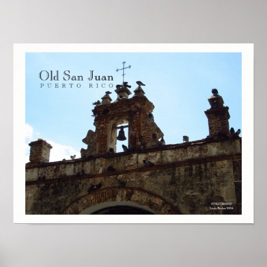 Vögel im Alten San Juan Puerto Rico Poster (Vorne)