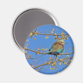 Vogel im Baum Foto Magnet (Vorderseite/Rückseite)