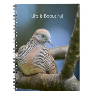 Vogel im Baum Kauai (meine Fotografie) Notizblock