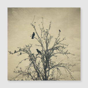 Vögel im Baum   -     Magnetkarte
