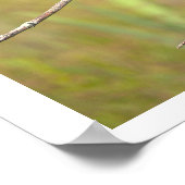 Vogel im Baum Poster (Ecke)
