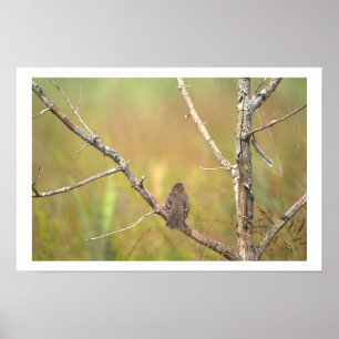 Vogel im Baum Poster