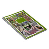 Vögel im Boston-Notebook Notizblock (Rechte Seite)