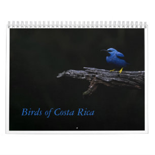 Vögel im Costa Rica-Kalender Kalender