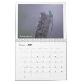 Vögel im Costa Rica-Kalender Kalender (Jan 2027)