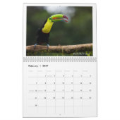 Vögel im Costa Rica-Kalender Kalender (Feb 2027)
