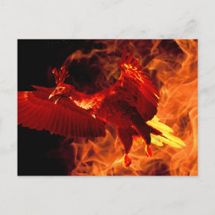 Vogel im Feuer Postkarte