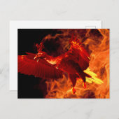 Vogel im Feuer Postkarte (Vorne/Hinten)
