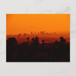 Vögel im Flug (Los Angeles, CA) Postkarte