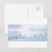 Vögel im Flug Postkarte (Vorne/Hinten)