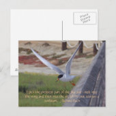 Vögel im Flug Postkarte (Vorne/Hinten)