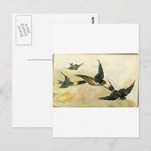 Vögel im Flug Postkarte (Vorne/Hinten)