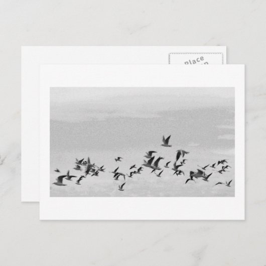 Vögel im Flug Postkarte (Vorne/Hinten)