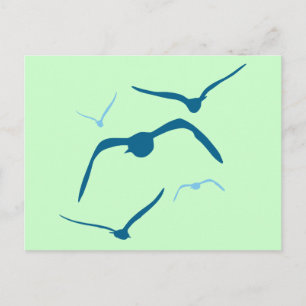 Vögel im Flug Postkarte