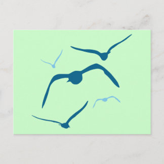 Vögel im Flug Postkarte