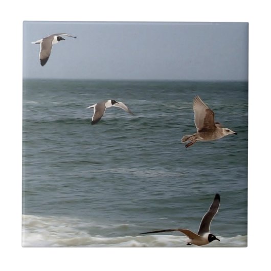 Vögel im Flug von Shirley Taylor Fliese (Vorderseite)