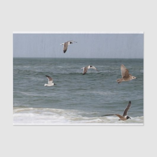 Vögel im Flug von Shirley Taylor Seidenpapier (Vorderseite)