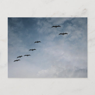 Vögel im Flugformations-Strandfotografie Postkarte